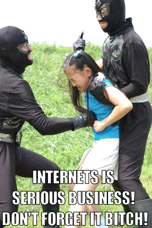 internets_srs_bsns_ninjas.jpg