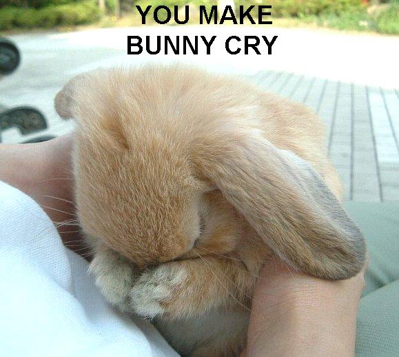 http://imagemacros.files.wordpress.com/2009/09/you_make_bunny_cry.jpg