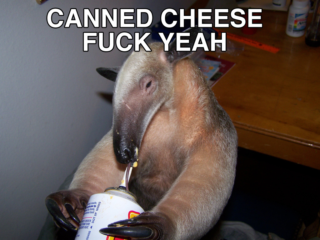 canned_cheese_anteater.jpg