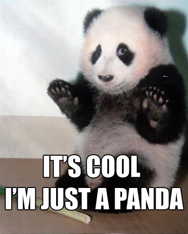 whoa scared worried panda dont be mad at me image macro