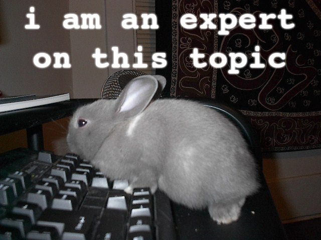 topic_expert_rabbit_bunny_computer_keyboard_image_macro